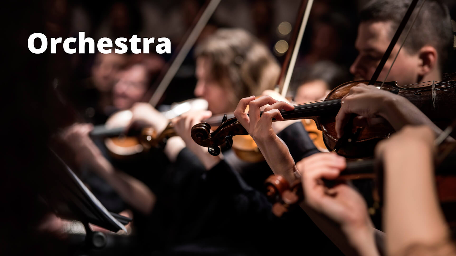 Orchestra